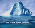 Adjusters International